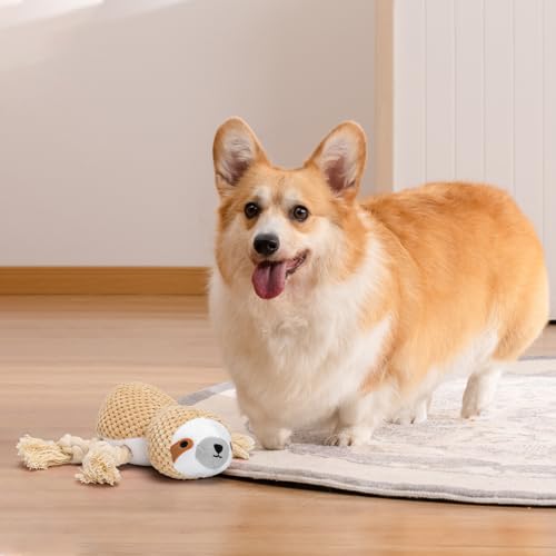 Nobleza Hundespielzeug, Plüschhundespielzeug, Quietschende Hundespielzeuge mit Knitterpapier, süßes Tauziehen Hundekauspielzeug für Welpen, kleine, mittlere, große Hunde, (Faultier)
