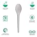 Eco-Products Compostable CPLA 6" Plastic Spoons, Case of 1000, Individually Wrapped Spoon, Disposable White Plantware Cutlery, Renewable Material Made from Plants, Sturdy and Strong, BPI-Certified 4