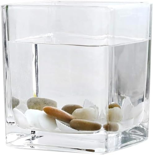 CokBlu 12cm�E15cm �T�C�Y�̓����K���X���p�^�ԕr�F�I�t�B�X�A�o�X���[���A���r���O�Ŏg������肵���A���e��?