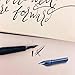 Mewutal 2Pcs/Set Comic Pen Nib Set Pen Nibs Replacements for Calligraphy Manga Writing Painting (Lantern Head Nib)