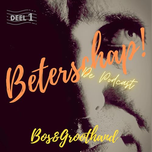 De ervaringsdeskundige