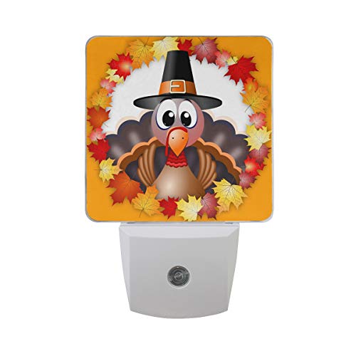 Naanle Set Of 2 Thanksgiving Turkey In Autumn Leaves Maple Leaf Circle Auto Sensor Led Dusk To Dawn Night Light Plug In Indoor For Adults #TOP17