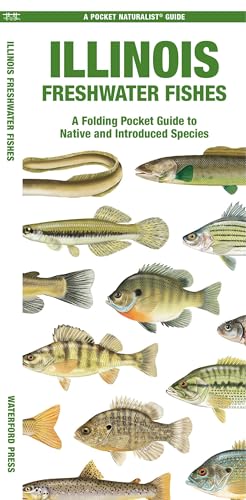 Illinois Freshwater Fishes: A Folding Pocket Guide to Native and Introduced Species
