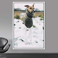 Framed Canvas Wall Art Pupper Animals Chic Dogs Multicolor Photography Urban - 16x24 inches