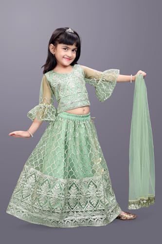 Image of Girl's Princess Lehenga Choli Set - Soft Net, Ribbon Embroidery With Duppata, Readymade