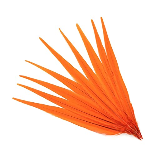 Plumas de faisán para tocados de carnaval y centros de mesa sofisticados 2