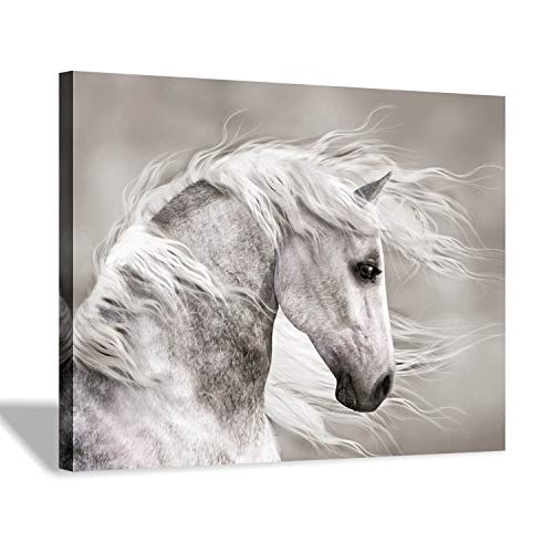 Horse Canvas Wall Art: Animal in the Wind Artwork Picture Painting Print for Kid's Room (16” x 12” x 1 Panel)