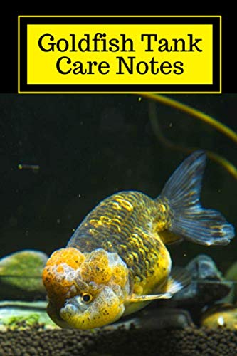 Image showcasing Goldfish Tank Care Notes: Ideal Compact Goldfish Tank Maintenance ...