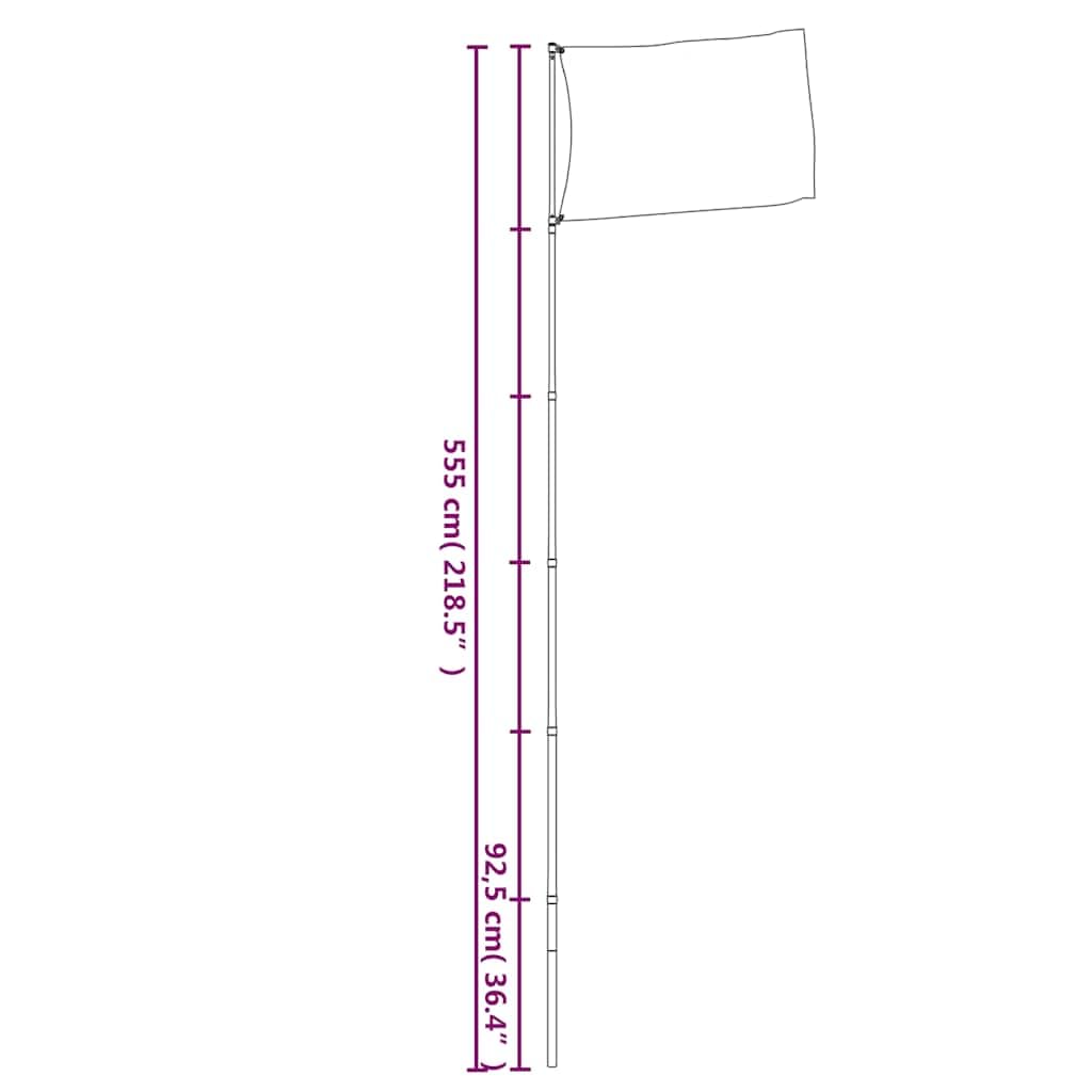 vidaXL Teleskop Fahnenmast, Mast für Nationalflagge, Flaggenmast für Garten Partys Sportveranstaltungen, Fahnenstange Fahnenstange, Silbern Aluminium