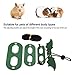 Small Reptiles Animals Harness Soft Adjustable Bearded Dragon Leash Lizard Pet Traction Rope (Green Wings)