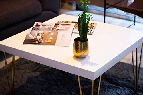 Muebles, Guild Imagen adicional