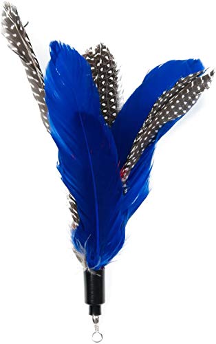Cat Stick Feather Refill é adequado para brincar com gatinhos. Inclui 6 penas de reposição e 1 cauda
