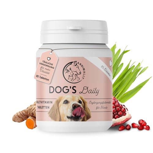 Multivitamin Tabletten für Hunde Hundetabletten mit Vitamin B Komplex Zink & Mineralstoffen Ergänzungsfuttermittel für Hunde Annimally Dogs Daily 85 Stück