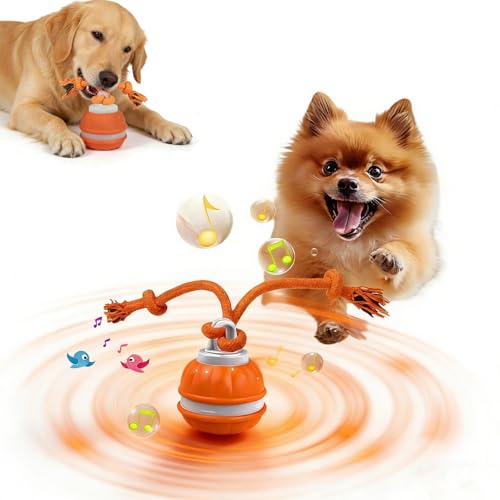 Qosigote Twinkle Paw Motion Ball, 2026 New Electric Rolling Pet Toy Ball, Chase Buddy Dog Toy, Interactive Dog Toys Balls, with Bird Sounds, Usb Rechargeable, for Puppy/Small/Medium Dogs (A)