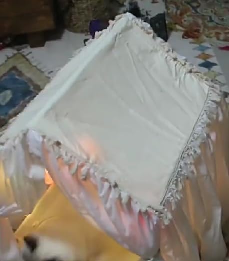 Pet House Tent Dog Kennel cat Kennel Spring and Summer Seasons can be dismantled and Washed Cute Princess Room Small Dog Teddy Bed.(White) - Image 5