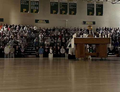 RESTORE: Ruth Dohmen