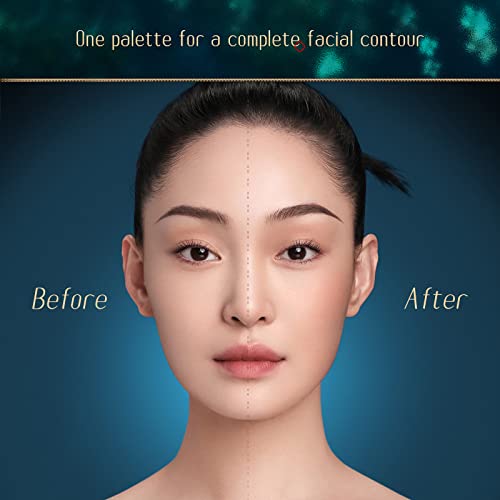 Florasis Constellation Floral Engraving Contour Palette #TOP4