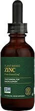 Global Healing USDA Organic Zinc Supplements Liquid - Pure Vitamin Drops for Immune System Boost, Hormone Balance, and Healthy Aging - Natural, Vegan-Friendly, Non-GMO, Organic Zinc Vitamins (2 Fl Oz)