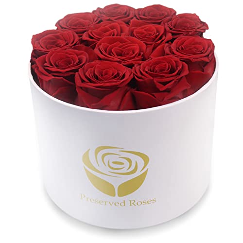 Yamonic 12 Rosas Reales Que durarán de 2 a 3 años, Regalo de Caja de Rosas para Ella, Idea cumpleaños, Regalos de San Valentín para Ella - Rosa roja, Caja Blanca