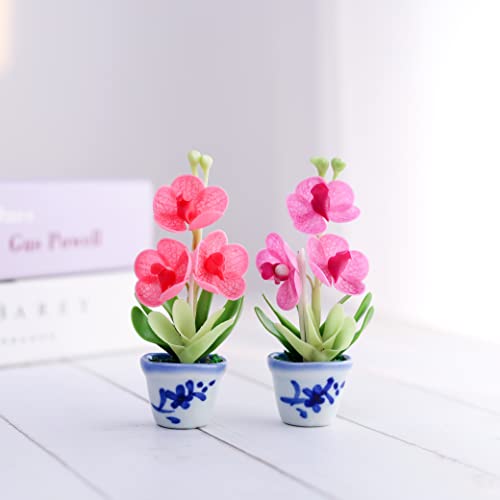 Imanes decorativos 3D flores orquídeas Vanda set 2 miniatura 5