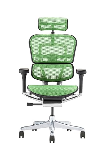 エルゴヒューマン2 EHP2-HAM-DR-BF-GN(PU)