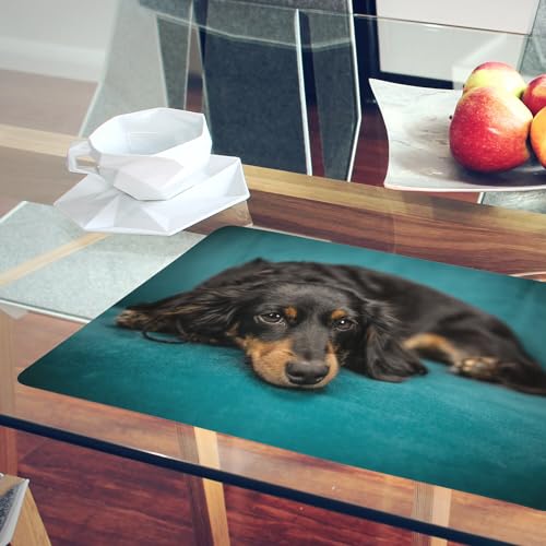 Set de table corgi en liège grand format lot de 4 napperons souples pour repas - 6