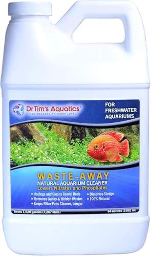 How to keep fish tank clean naturally