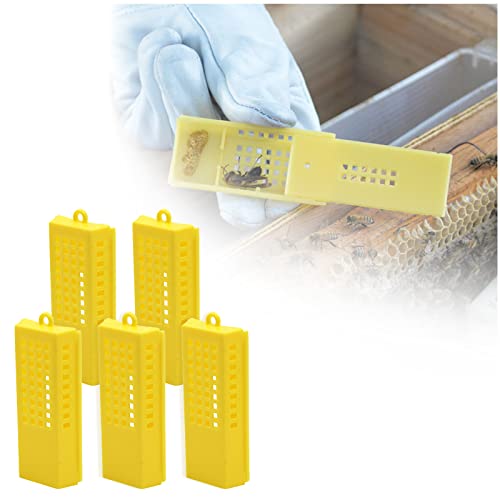 Jaula De Abeja Reina,Jaulas Para Abejas Reina,Jaulas Para Cría De Abejas Reina,Jaulas Para Abejas Reina De Plástico,Jaulas Para Abejas Queen Catcher,Apicultor Queen Bee Catchers,5 Piezas