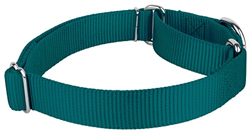Country Brook Petz - Teal Martingale Heavy Duty Nylon Dog Collar - 21 Vibrant Color Options (1 Inch Width, Medium) #TOP6