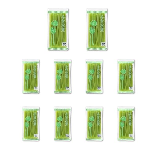 Vandro ӂρiQPcmJbgj Ō`250g ×10  (VandroSt)