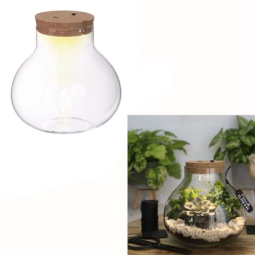 Produktfoto von Annastore Pflanz-Terrarium mit LED-Beleuchtung - H 20 cm - Ø 20,5 cm