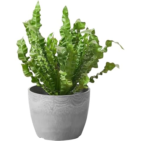 Ekirlin 8 Inch Planter Cover