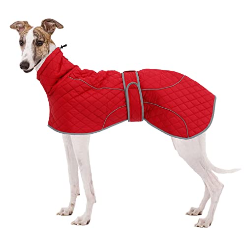 Greyhound Winter Coat, Whippet Coat with Padded Fleece Lining, Water Resistant Dog Jacket with Hook...