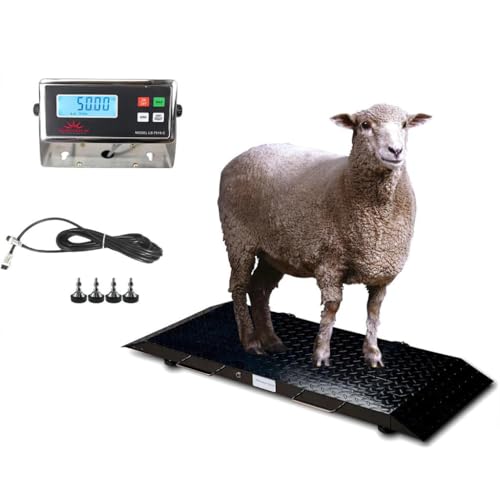 Liberty LS-920-2k Imported Scale