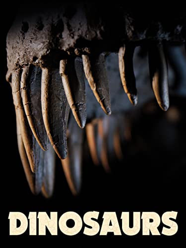  Dinosaurs