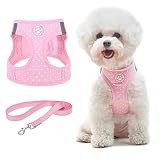BINGPET Vest Harness for Puppy and Cat, No Pull Adjustable Reflective Step-in Puppy Harness Cute Pin