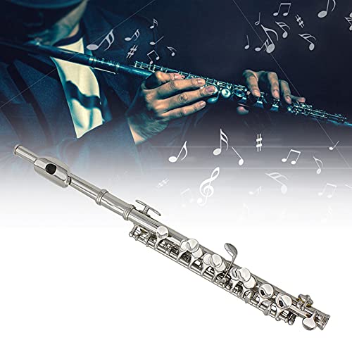 Piccolo Kit,Detachable Silver Plated C Piccolo With Screwdriver Pu Leather Box Cleaning Tool Set (Silver) #TOP4