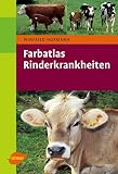Farbatlas Rinderkrankheiten