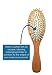 Oval Paddle Brush, 2 Pack, Massage Pins Brush, Detangling Brush by Better Beauty Products, Professional Salon Brushes, 100% Natural Wood Base and 100% Wood Scalp Massaging Bristles