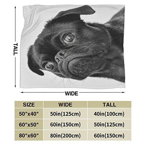 Ultra Soft Blanket Cute Black Pug Dog Throws Blanket Plush Fuzzy Lightweight Couch Sofa Bed Warm Cozy Flannel Blanket For Kids And Adults Gift 50"X40" #TOP2