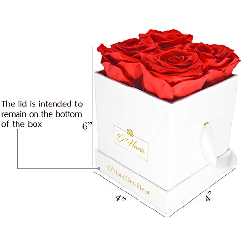 O'HARA DES FLEUR | Real Roses That Last a Year or More|Preserved Roses in a Box No Need to Water Or Deal with Wilted Petals (RED, White Box) - Image 5