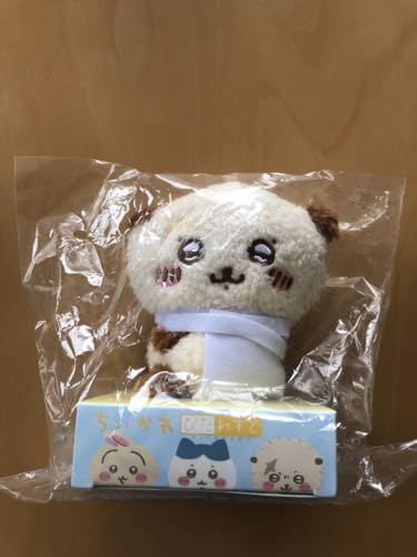 ラッコ ぴたれすと ちいか