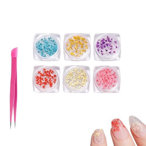 EUYKQNOI Kit de 6 Fleurs Séchées pour Ongles en Flacon + Pince à Épiler Rose - Nail Art Déco Ongle DIY, Décoration Naturelle pour Résine Époxy,...