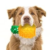 Giocattoli per cuccioli - giocattoli pungenti per i cuccioli | Giochi per cani per raffreddamento ad anello morso, durevoli giocattoli per il ghiaccio per cani estivi, forma di frutta congelata