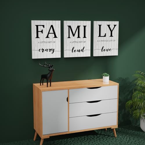 Nustila Family Canvas Prints Painting, 3pcs Family Quotes Sign Wall Art with Frame, Crazy Loud Love Wall Decor, Hallway Decor,Thanksgiving Christmas Gift, Home Decor Living Room Bedroom -12x16 inches