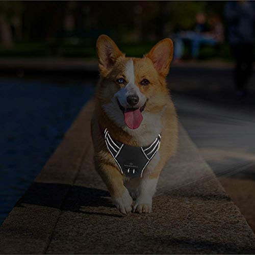 MASBRILL Hundegeschirr Grosse Hunde, Anti Zug Geschirr Hunde Brustgeschirre Einstellbar und Reflektierend, Weich Atmungsaktiv Gepolstert Hundegeschirr mit Grifff für Walken(Schwarz L)
