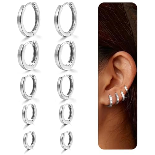 Teegxddy 5 Pares Pequeños Pendientes de Aro de Plata 925 Hipoalergénicos Pendientes,2 * 6 2 * 14cm