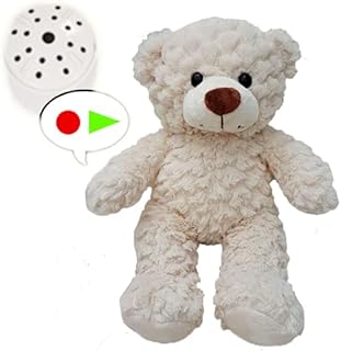 Little Crinkle Cream Teddy with 60 Second Voice Recorder - 10"/25cm - Recordable Teddy Bear Gift - Baby Heartbeat Bear