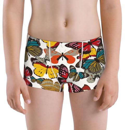Boys' Cotton Boxer Brief Soft Underwear-Retro Floral Butterfly