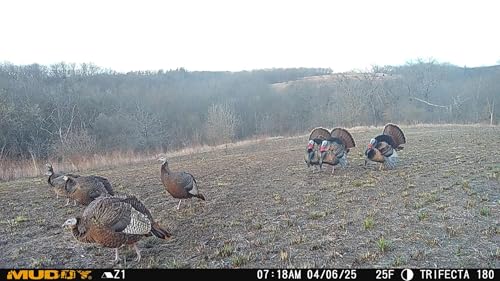 Image of Muddy Trifecta 180 Cellular Camera with 36MP Photo Resolution, 1080p Video Recording, and Customizable Time-Out Delays (Brown)